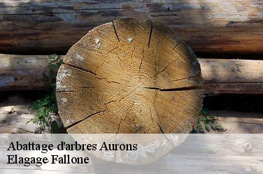 Abattage d'arbres  aurons-13121 Elagage Fallone