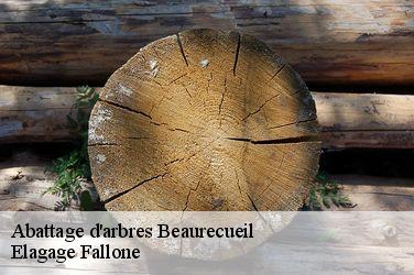 Abattage d'arbres  beaurecueil-13100 Elagage Fallone