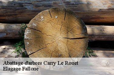 Abattage d'arbres  carry-le-rouet-13620 Elagage Fallone