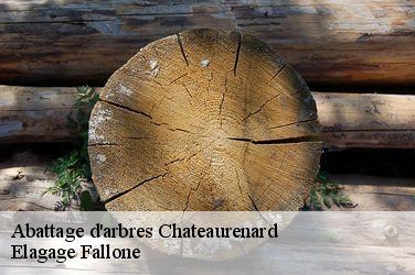 Abattage d'arbres  chateaurenard-13160 Elagage Fallone