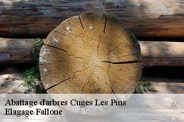 Abattage d'arbres  cuges-les-pins-13780 Elagage Fallone