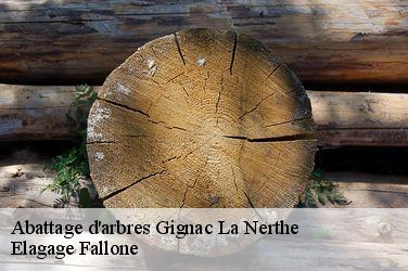 Abattage d'arbres  gignac-la-nerthe-13180 Elagage Fallone
