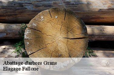 Abattage d'arbres  grans-13450 Elagage Fallone