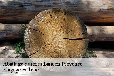 Abattage d'arbres  lancon-provence-13680 Elagage Fallone
