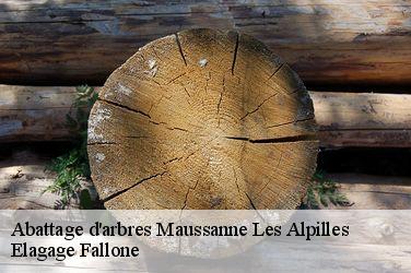 Abattage d'arbres  maussanne-les-alpilles-13520 Elagage Fallone