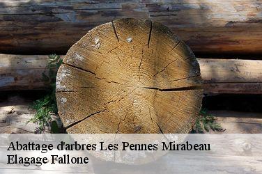 Abattage d'arbres  les-pennes-mirabeau-13170 Elagage Fallone