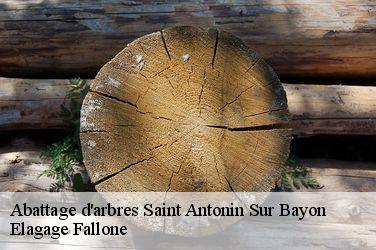 Abattage d'arbres saint-antonin-sur-bayon-13100 Elagage Fallone