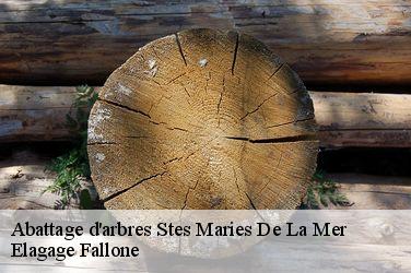 Abattage d'arbres  stes-maries-de-la-mer-13460 Elagage Fallone