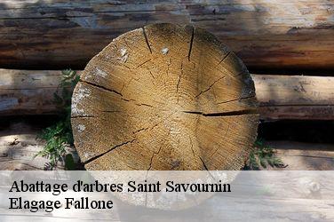 Abattage d'arbres  saint-savournin-13119 Elagage Fallone