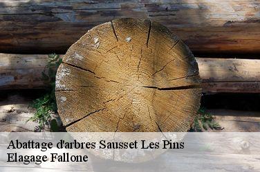 Abattage d'arbres  sausset-les-pins-13960 Elagage Fallone