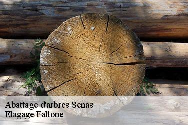 Abattage d'arbres  senas-13560 Elagage Fallone