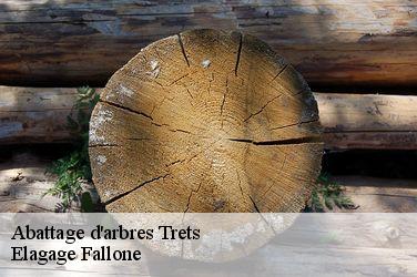 Abattage d'arbres  trets-13530 Elagage Fallone