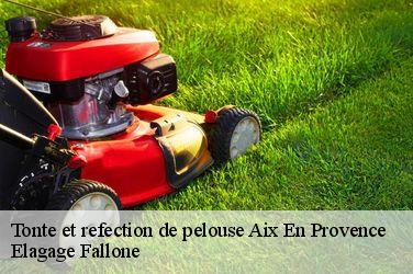 Tonte et refection de pelouse  aix-en-provence-13090 Elagage Fallone