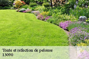 Tonte et refection de pelouse  13090