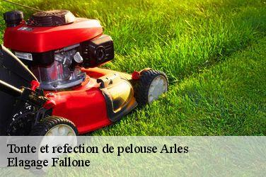 Tonte et refection de pelouse  arles-13200 Elagage Fallone
