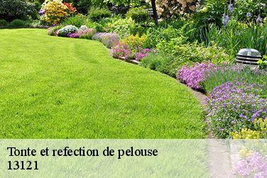 Tonte et refection de pelouse  13121