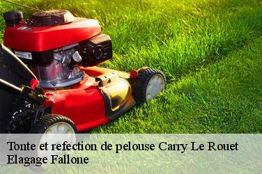 Tonte et refection de pelouse  carry-le-rouet-13620 Elagage Fallone
