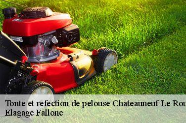 Tonte et refection de pelouse  chateauneuf-le-rouge-13790 Elagage Fallone