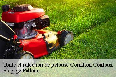 Tonte et refection de pelouse  cornillon-confoux-13250 Elagage Fallone