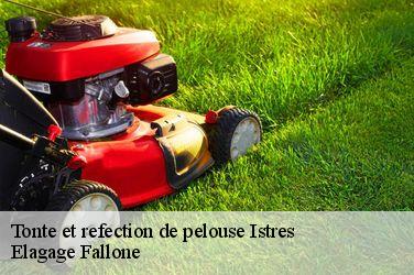 Tonte et refection de pelouse  istres-13800 Elagage Fallone