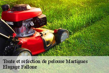 Tonte et refection de pelouse  martigues-13500 Elagage Fallone