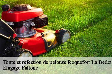 Tonte et refection de pelouse  roquefort-la-bedoule-13830 Elagage Fallone