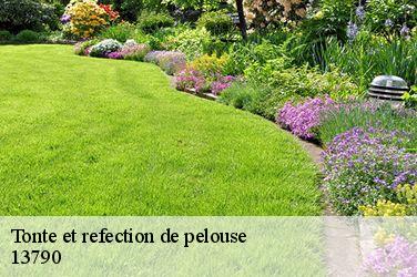 Tonte et refection de pelouse  13790