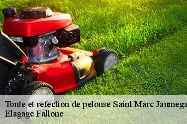 Tonte et refection de pelouse  saint-marc-jaumegarde-13100 Elagage Fallone