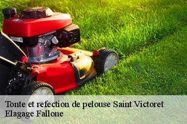 Tonte et refection de pelouse saint-victoret-13730 Elagage Fallone