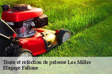 Tonte et refection de pelouse  les-milles-13290 Elagage Fallone