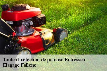 Tonte et refection de pelouse entressen-13118 Elagage Fallone