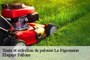Tonte et refection de pelouse  le-pigeonnier-13122 Elagage Fallone