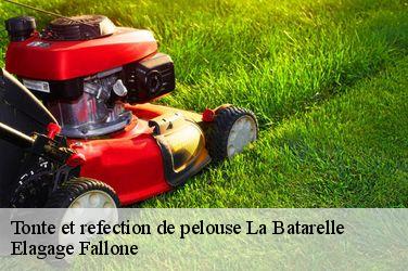 Tonte et refection de pelouse la-batarelle-13013 Elagage Fallone