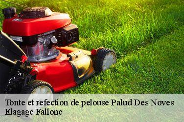 Tonte et refection de pelouse  palud-des-noves-13550 Elagage Fallone