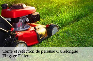 Tonte et refection de pelouse  callelongue-13008 Elagage Fallone
