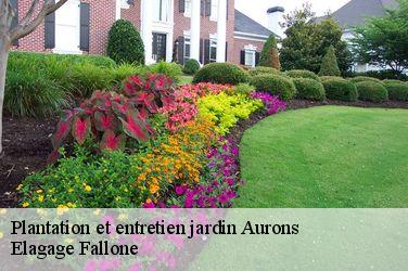 Plantation et entretien jardin  aurons-13121 Elagage Fallone