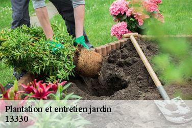 Plantation et entretien jardin  13330