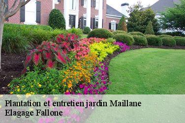 Plantation et entretien jardin maillane-13910 Elagage Fallone