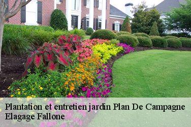 Plantation et entretien jardin  plan-de-campagne-13170 Elagage Fallone