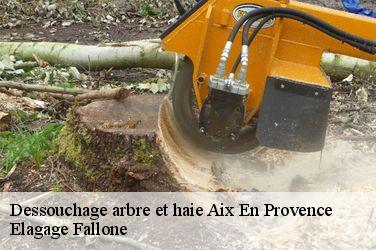 Dessouchage arbre et haie  aix-en-provence-13090 Elagage Fallone