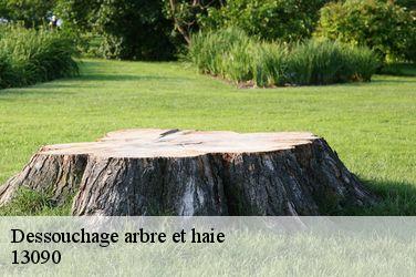 Dessouchage arbre et haie  13090