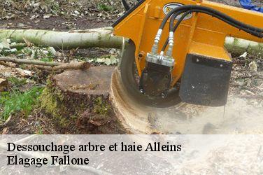 Dessouchage arbre et haie  alleins-13980 Elagage Fallone
