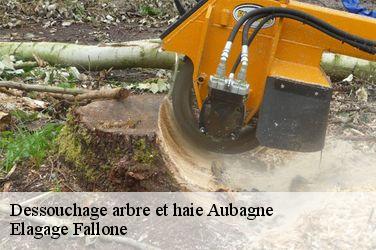 Dessouchage arbre et haie  aubagne-13400 Elagage Fallone