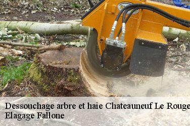 Dessouchage arbre et haie  chateauneuf-le-rouge-13790 Elagage Fallone