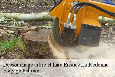 Dessouchage arbre et haie  ensues-la-redonne-13820 Elagage Fallone