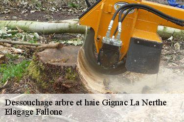 Dessouchage arbre et haie  gignac-la-nerthe-13180 Elagage Fallone
