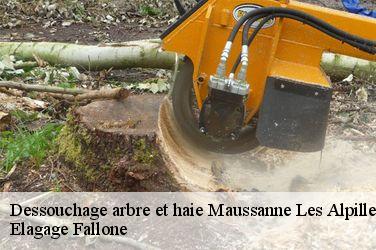 Dessouchage arbre et haie  maussanne-les-alpilles-13520 Elagage Fallone