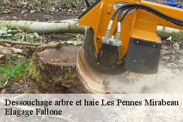 Dessouchage arbre et haie  les-pennes-mirabeau-13170 Elagage Fallone