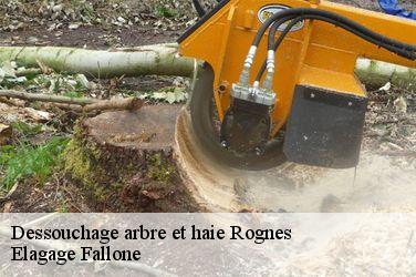 Dessouchage arbre et haie  rognes-13840 Elagage Fallone