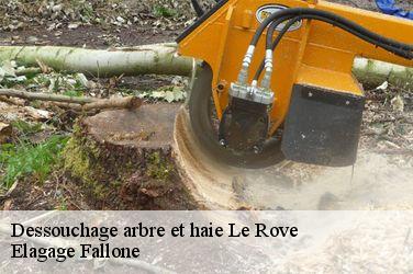 Dessouchage arbre et haie le-rove-13740 Elagage Fallone